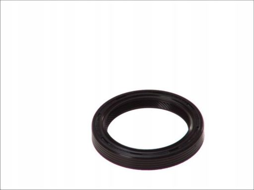 Uszczelniacz Wału Korbowego 12013859B