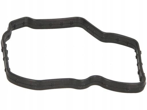 Uszczelka Obudowy Termostatu 994.100