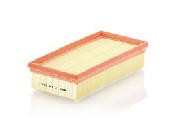 Filtr Powietrza C 24 120