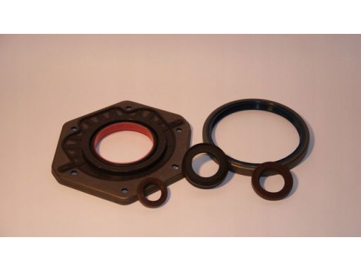 Uszczelniacz Wału Korbowego 12010943B