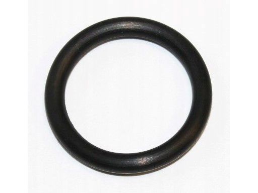 Uszczelka Obudowy Termostatu 473.920