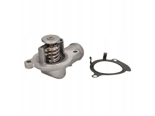 Termostat Środka Chłodzącego Th6966.87J