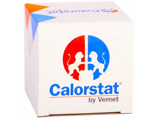 Termostat Środka Chłodzącego Th6966.87J