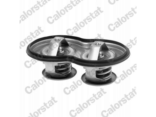 Termostat Środka Chłodzącego Th7117.80J