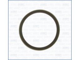 Uszczelka Termostatu 00975700