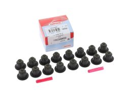 Zestaw Uszczelniaczy Trzonka Zaworów 19034886