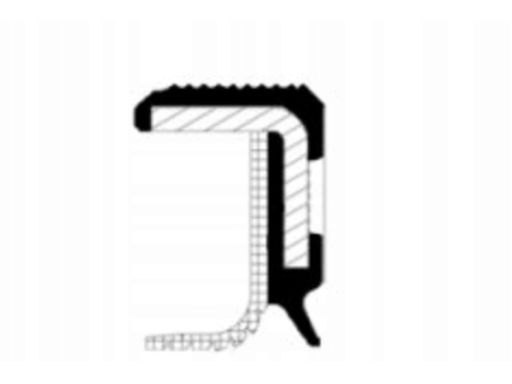 Uszczelniacz Wałka Rozrządu 19036293B