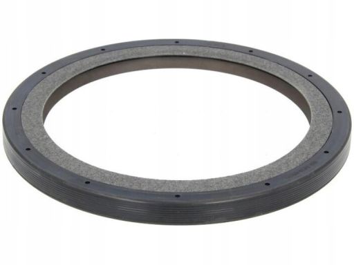 Uszczelniacz Wału Korbowego 19037056B