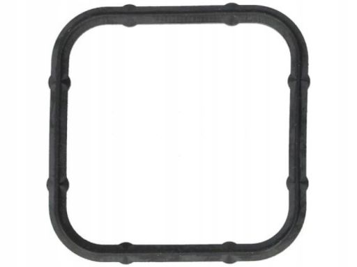 Uszczelka Obudowy Termostatu 354.040
