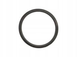 Uszczelka Termostatu 308.040