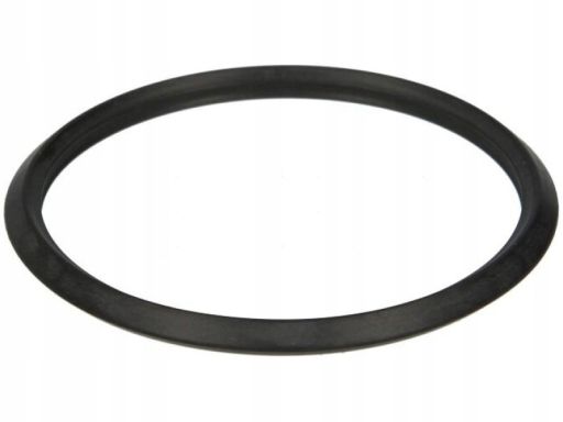 Uszczelka Termostatu 495.980
