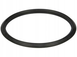 Uszczelka Termostatu 495.980