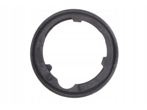 Uszczelka Termostatu 845.820