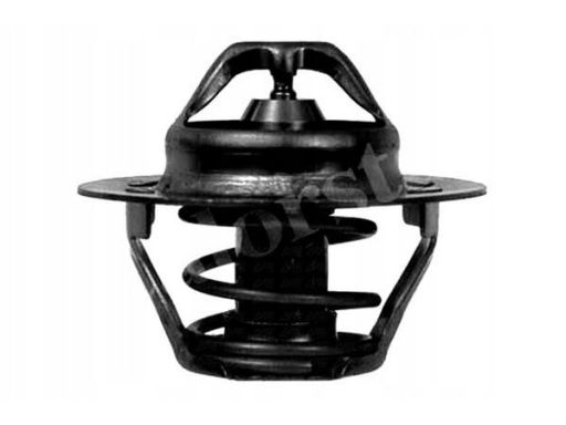 Termostat Środka Chłodzącego Th6045.89J