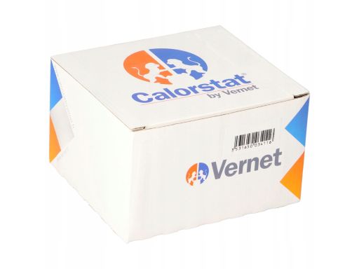 Termostat Środka Chłodzącego Th6858.89J