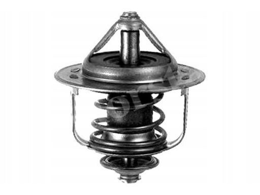 Termostat Środka Chłodzącego Th6858.89J