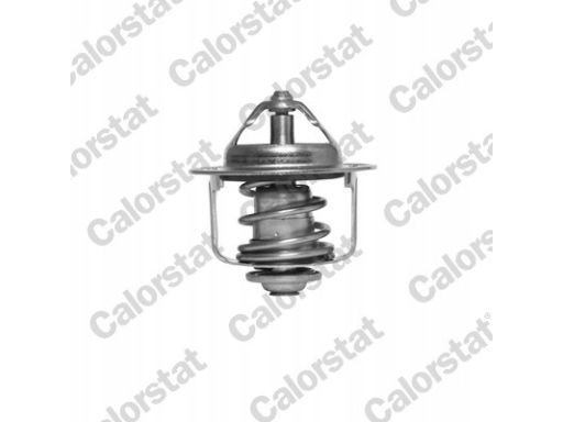 Termostat Środka Chłodzącego Th6858.89J