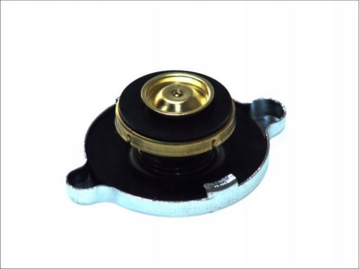 Korek Chłodnicy 310176