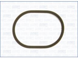 Uszczelka Termostatu 01183900