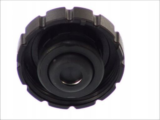 Korek Chłodnicy 313502