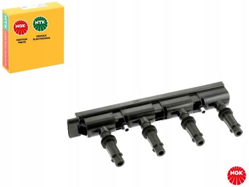 Cewka Zapłonowa 48404