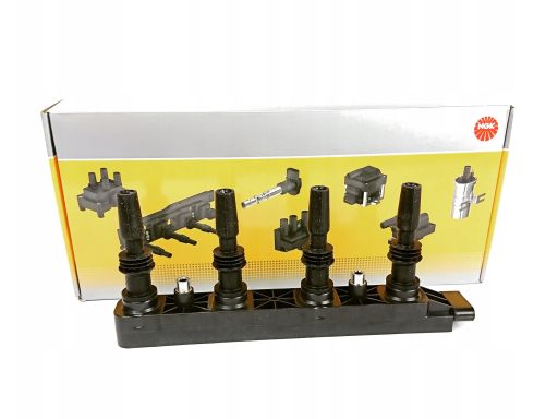 Cewka Zapłonowa 48404