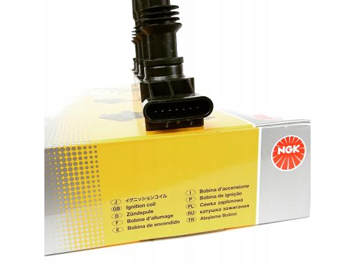 Cewka Zapłonowa 48404