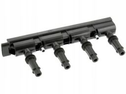 Cewka Zapłonowa 48404