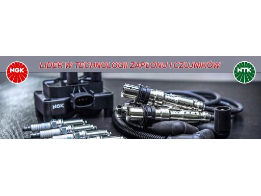 Świeca Zapłonowa 4179