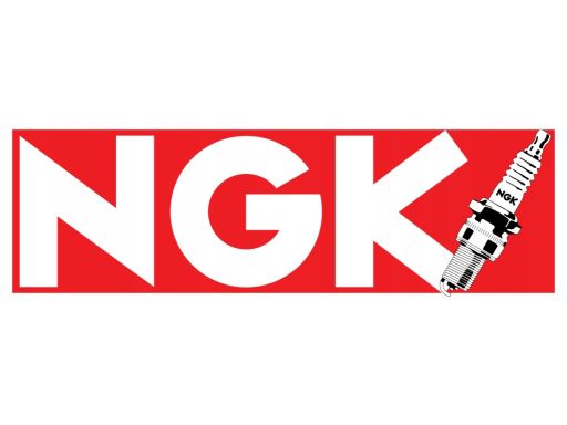 Świeca Zapłonowa 4296