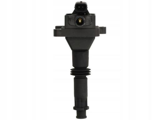 Cewka Zapłonowa Ce20040-12B1