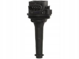 Cewka Zapłonowa Gn10334-12B1