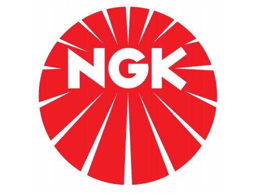 Świeca Zapłonowa 6129