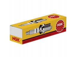 Świeca Zapłonowa 6129