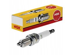 Świeca Zapłonowa 6607