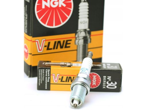 Świeca Zapłonowa 6717