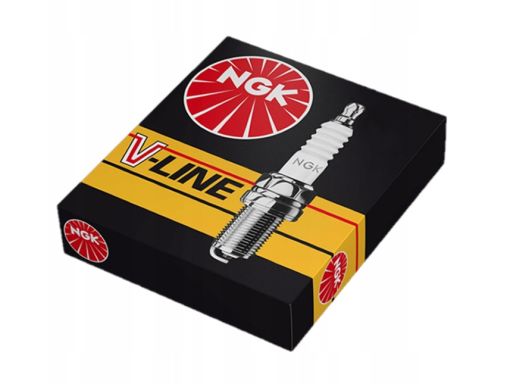 Świeca Zapłonowa 6717