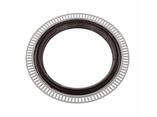 Uszczelniacz Piasty Koła 12019683B