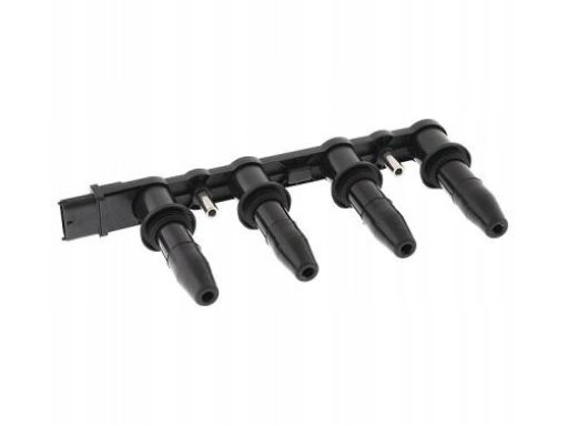 Cewka Zapłonowa 48004