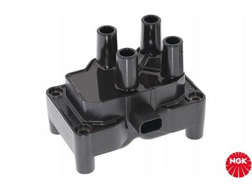 Cewka Zapłonowa 48027