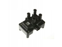 Cewka Zapłonowa 48027