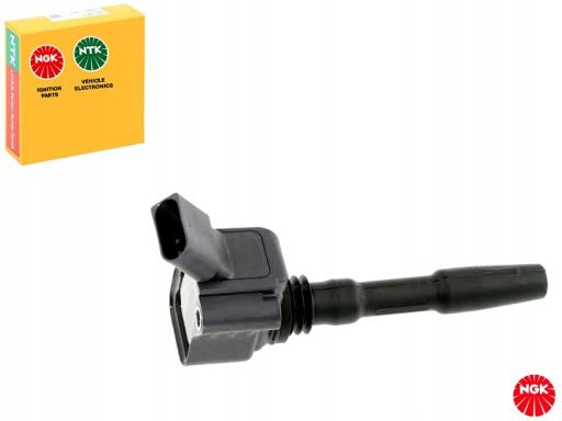 Cewka Zapłonowa 48409