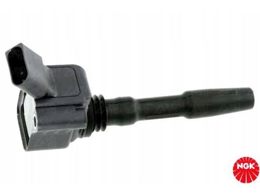 Cewka Zapłonowa 48409