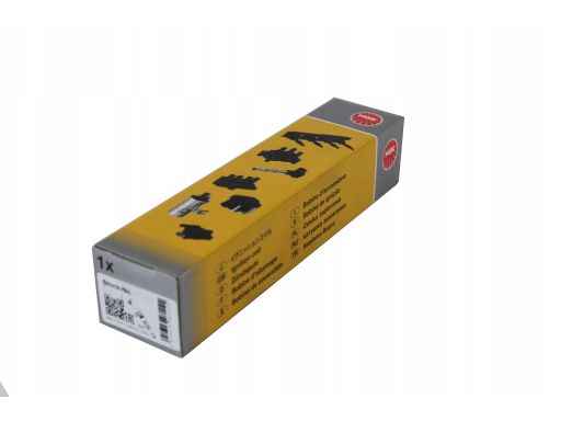 Cewka Zapłonowa 48409