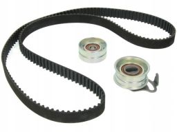 Zestaw Paska Rozrządu 530 0269 10