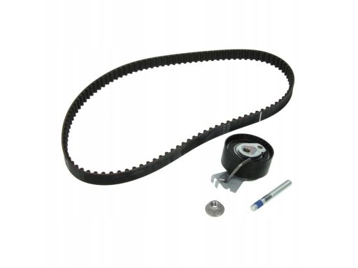 Zestaw Paska Rozrządu 530 0335 10
