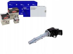 Cewka Zapłonowa Gn10235-12B1