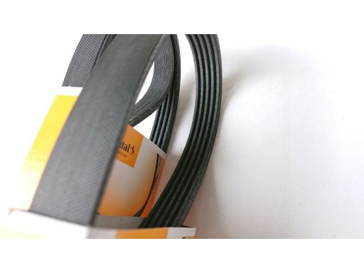 Pasek Wieloklinowy 5Pk1300