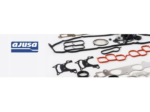 Uszczelka Pokrywy Zaworów 11077400