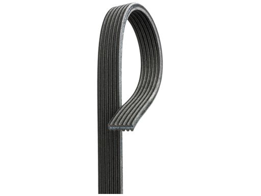 Pasek Wieloklinowy 6Dpk1698